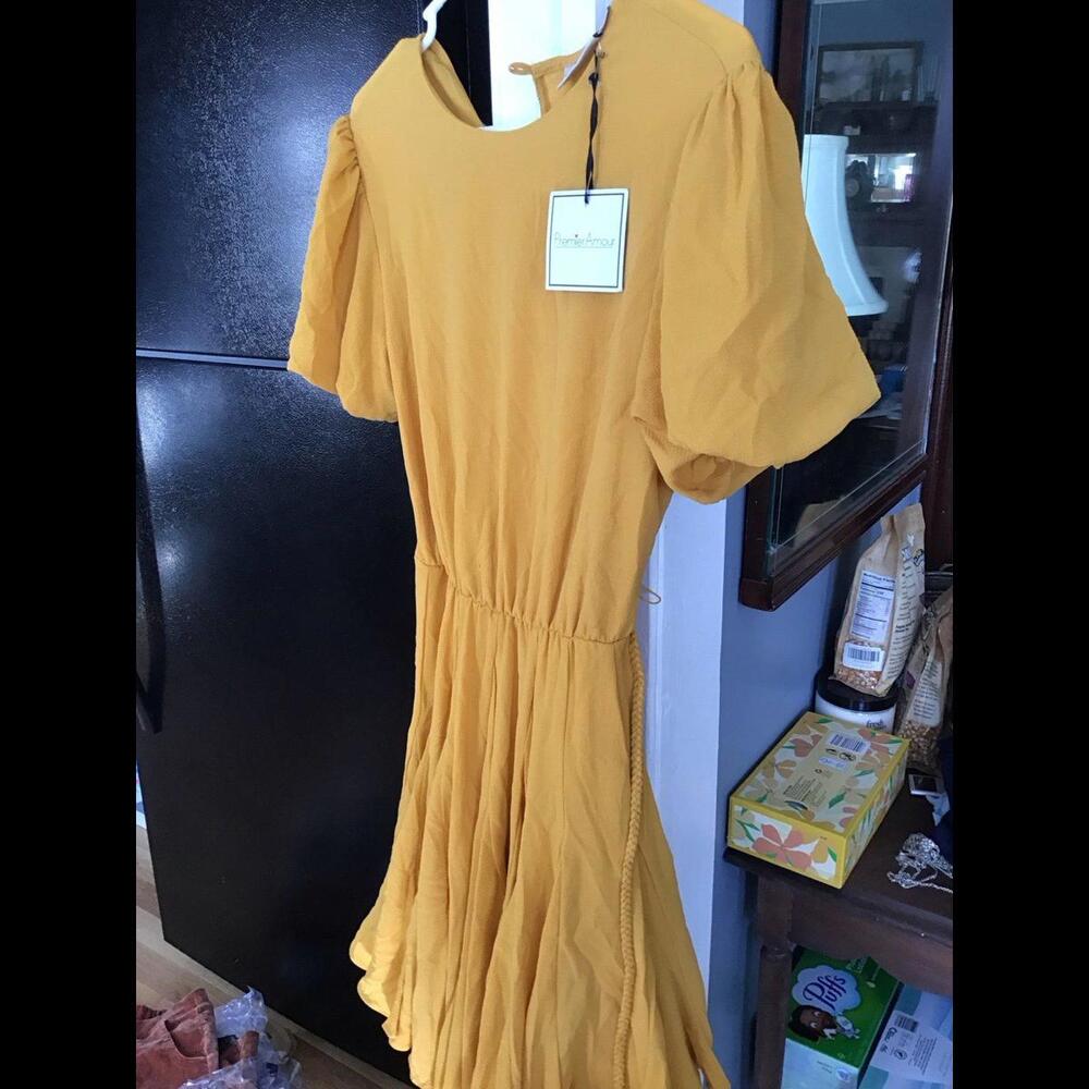 Premier amour dress from jcpenny, mustard yellow, new with marks, review photos